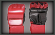 Grappling MMA Gloves