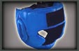 Head Guards